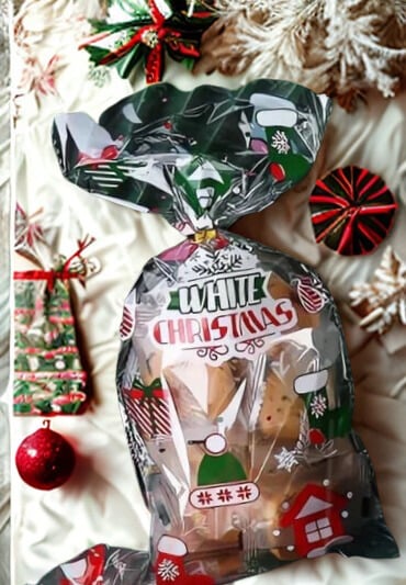 Santa Printed Treat Bag- set of 10