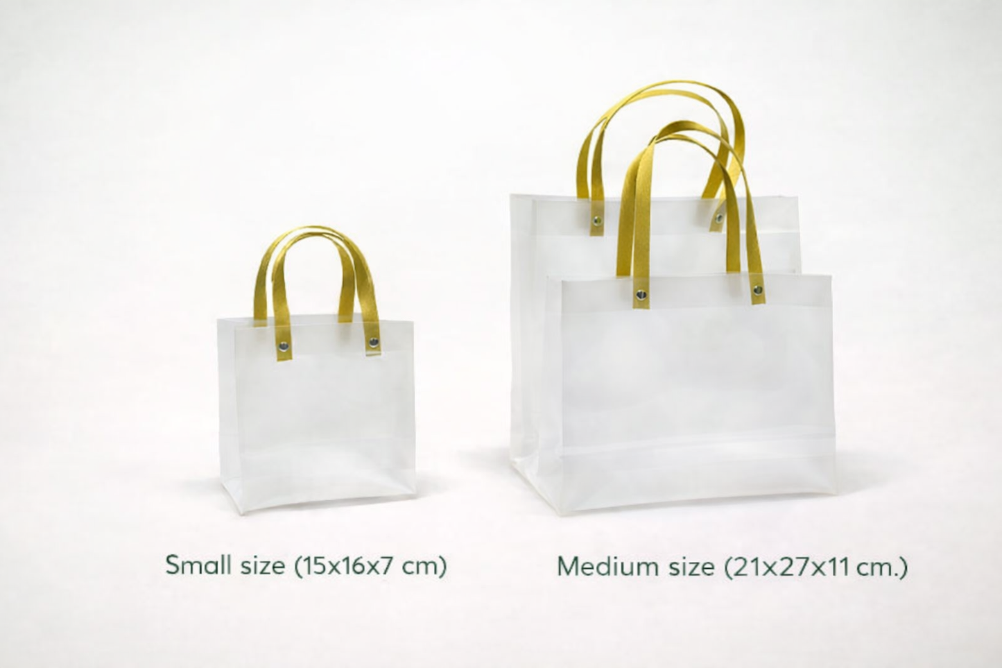 Medium Frosted PVC Gift Bags (Set of 10 Pcs) – Luxury Gift Bags for Wedding Hampers & Corporate Gifting