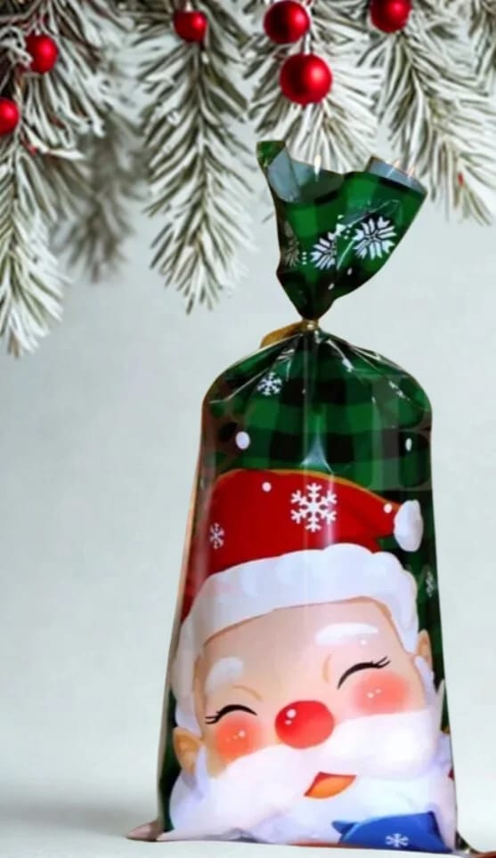Santa Printed Treat Bag- set of 10